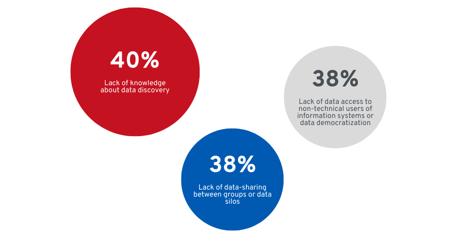 Data leaders